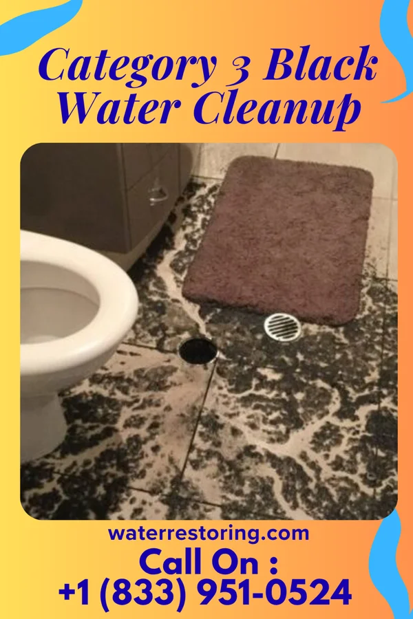 Category 3 Black Water Cleanup in Trussville, AL